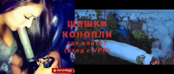 ГАЛЛЮЦИНОГЕННЫЕ ГРИБЫ Балахна