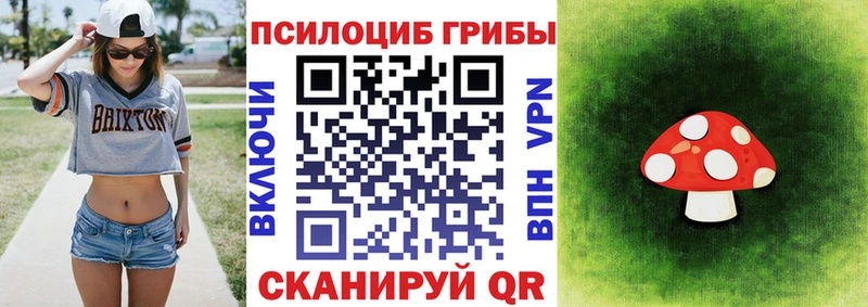 Псилоцибиновые грибы Psilocybe  Саянск 